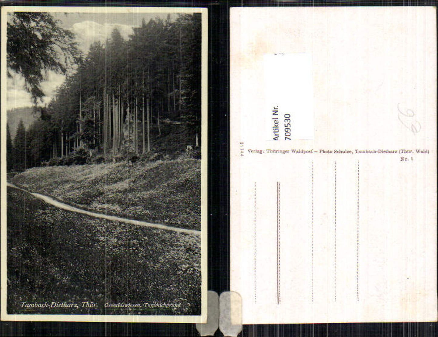 709530 Tambach Dietharz Oswaldswiesen Tammichgrund