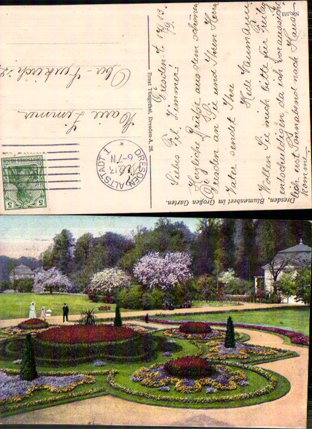 709665 Dresden Blumenbeet Großen Garten gel Oberneukirch Lausitz