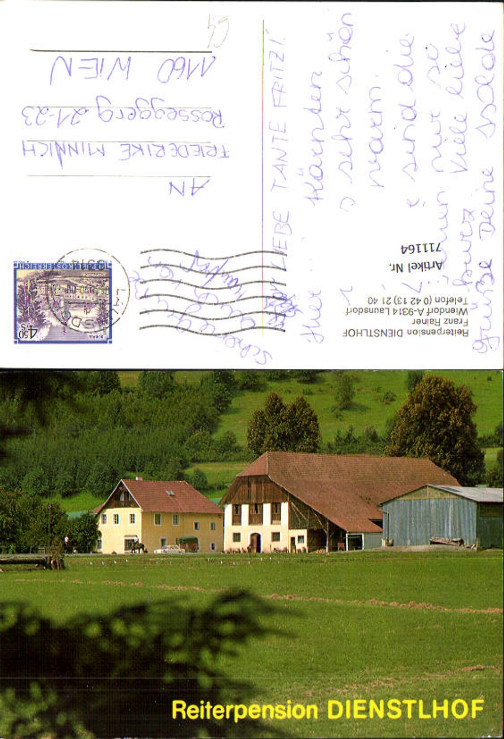 711164 Launsdorf Riding Pension Dienstlhof Horse Riding