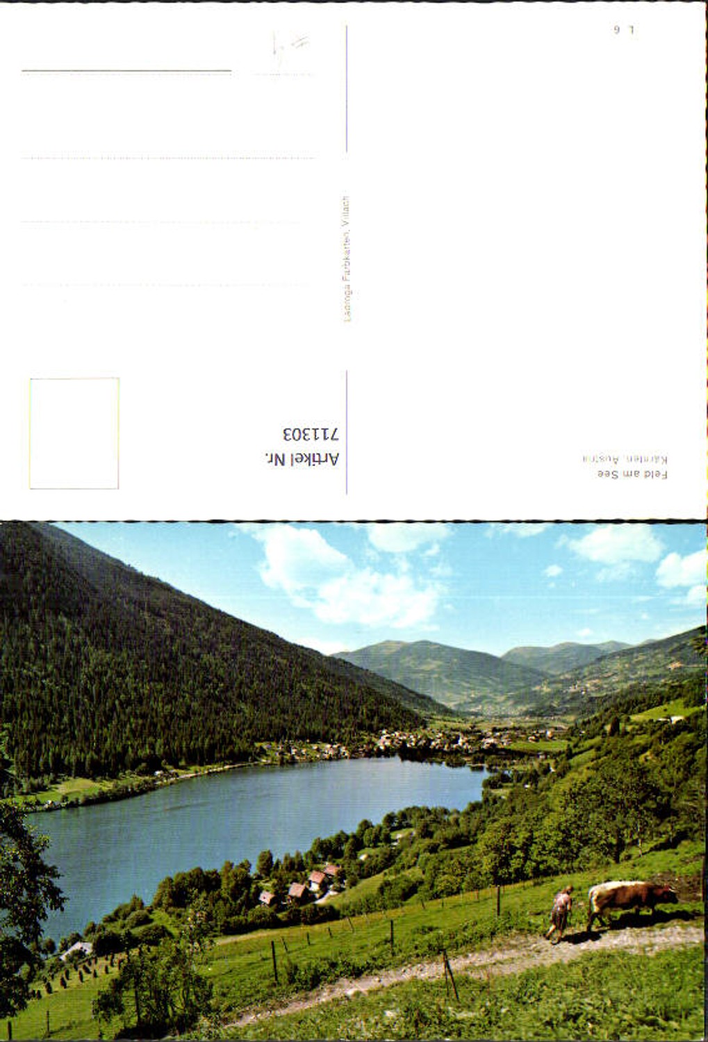 711303 Feld am See View