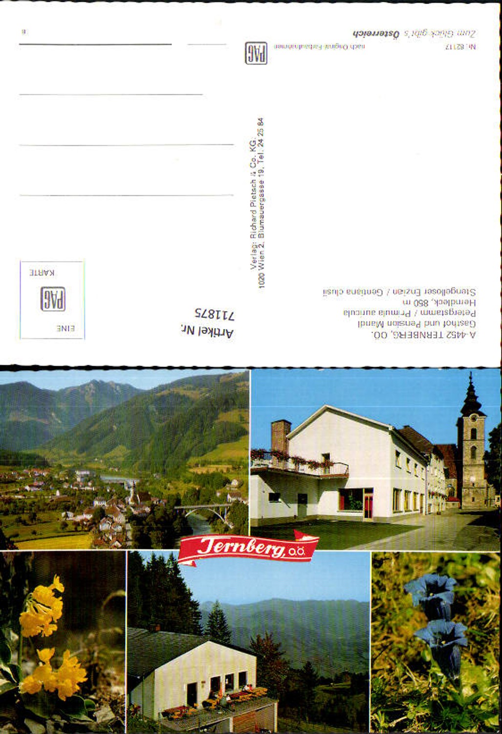 711875 Mehrbild AK Ternberg Gasthof Pension Mandl Enzian Primel Blumen