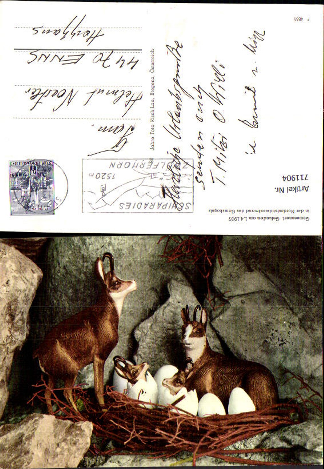 711904 St Gilgen a. Wolfgangsee Gemsennest Gamskogel Humor Tiere Zwölferhorn