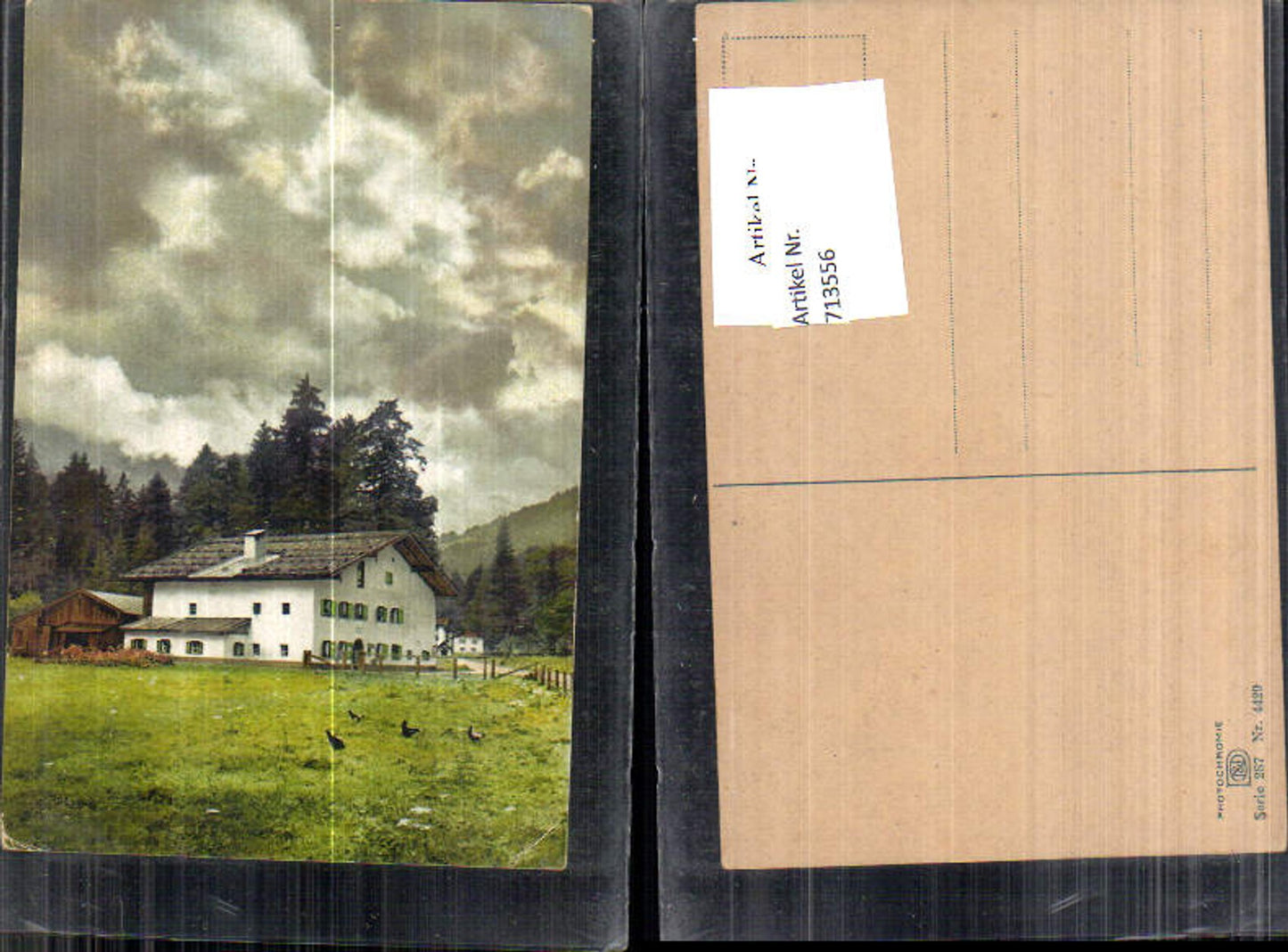 713556 Künstler AK Photochromie Nenke & Ostermaier 287-4429