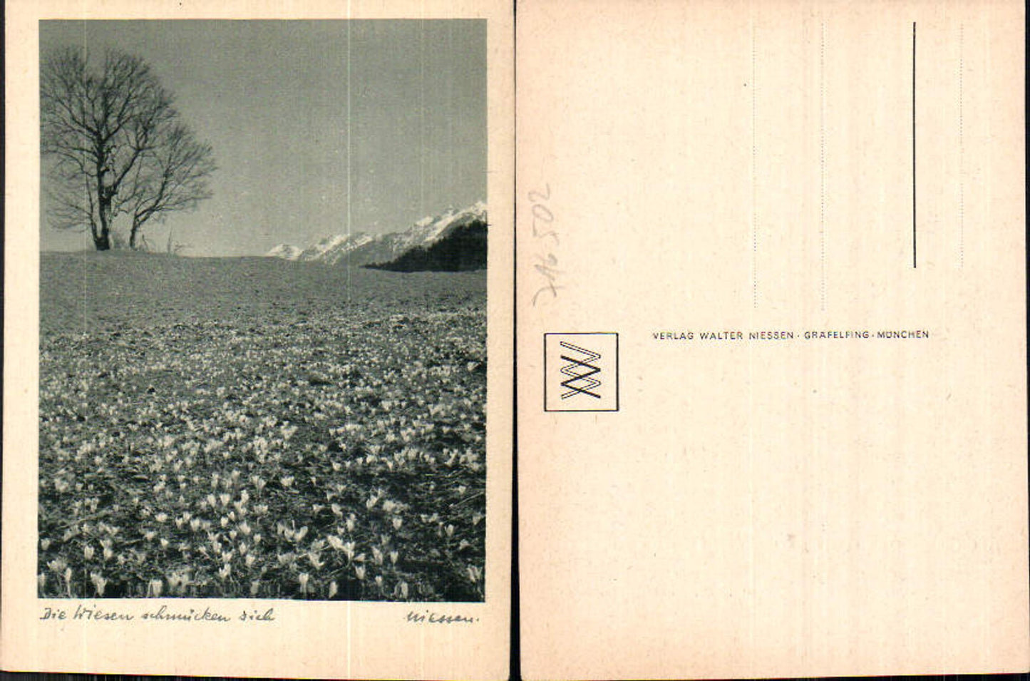 716502 Verlag Walter Niessen Gräfelfing München Wiesen Blumen