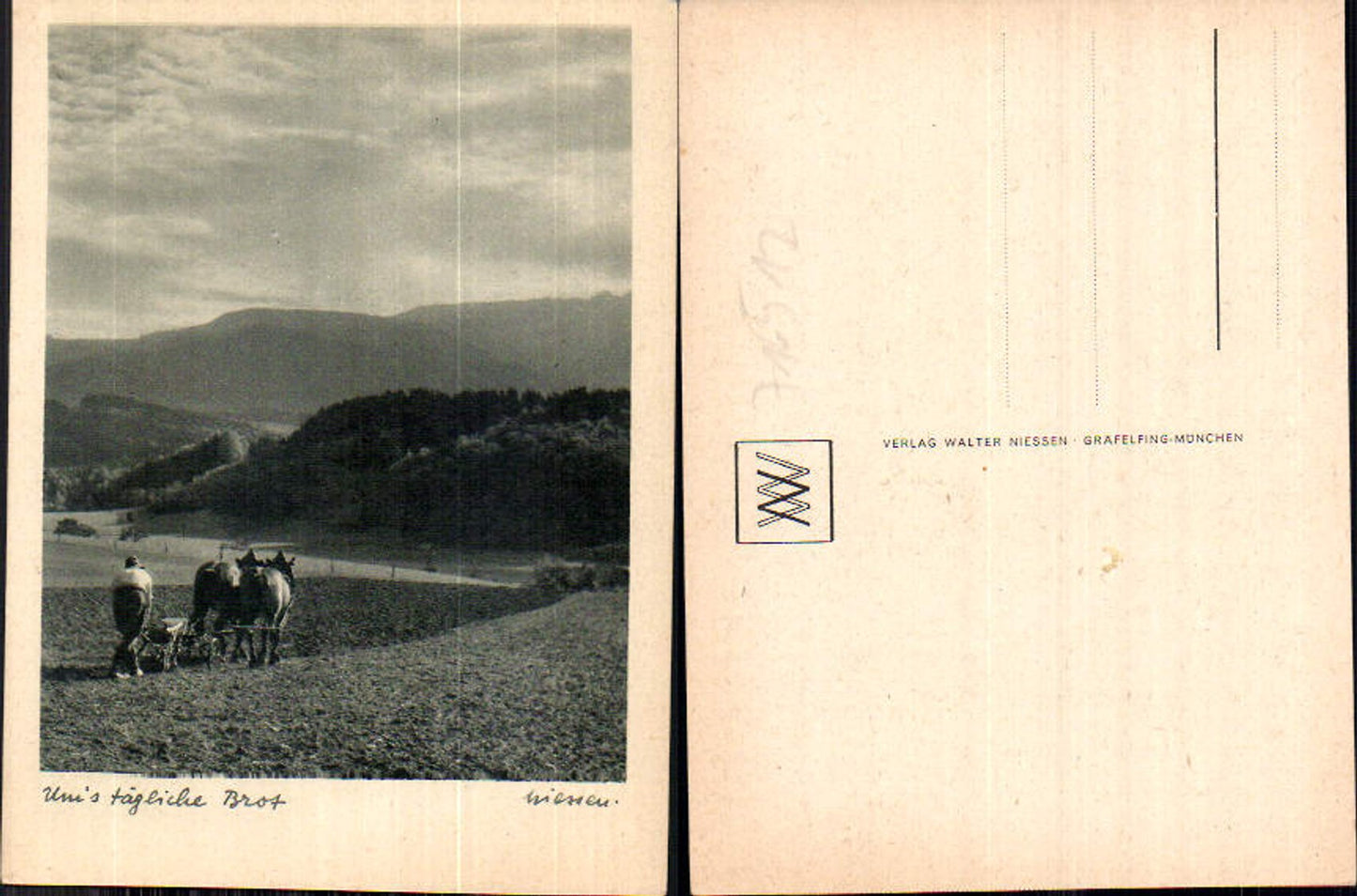 Walter Niessen Gräfelfing München Bauern Landwirtschaft Pflug pflügen