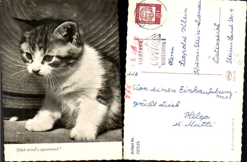 alte Ansichtskarte