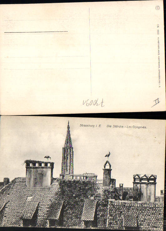 alte Ansichtskarte