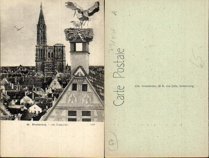 alte Ansichtskarte