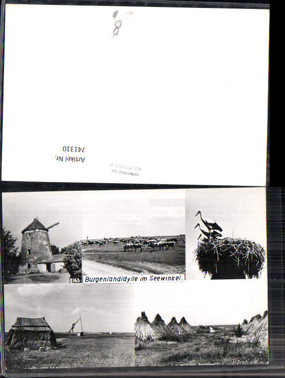 alte Ansichtskarte