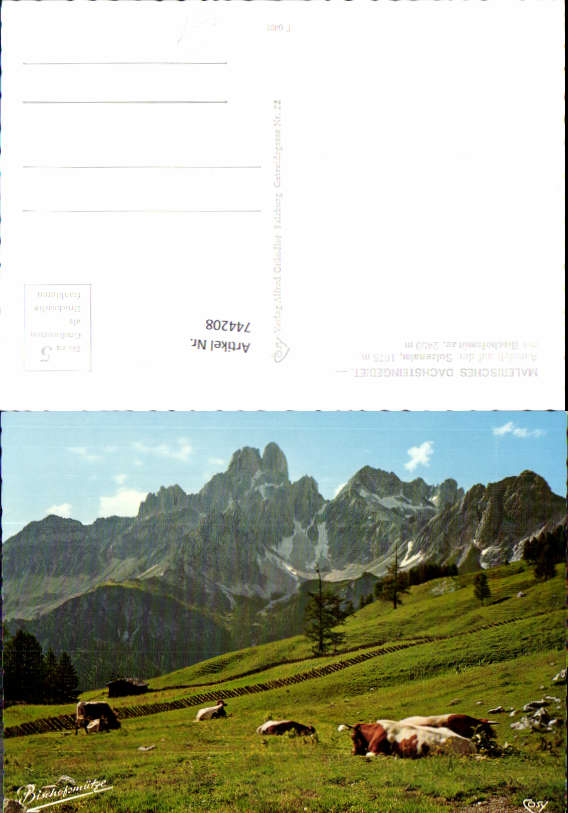 alte Ansichtskarte