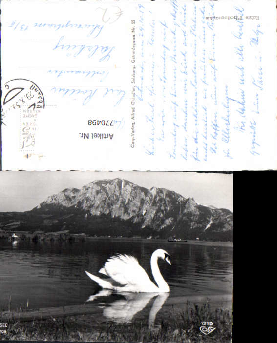 alte Ansichtskarte
