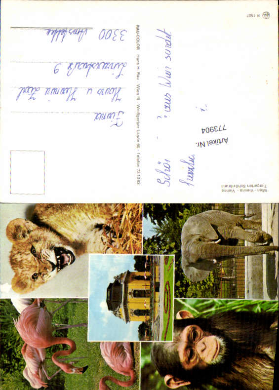 alte Ansichtskarte
