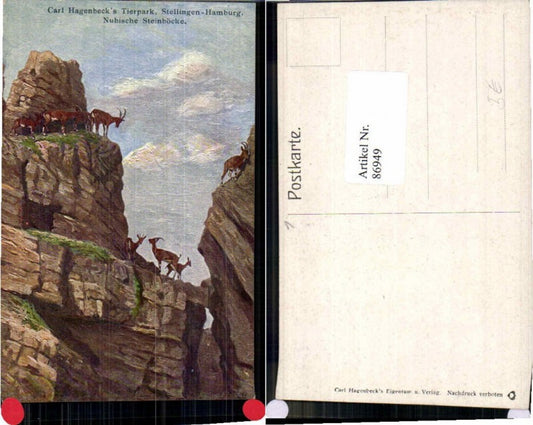 86949,Hamburg Stellingen Hagenbeck Tierpark Steinböcke
