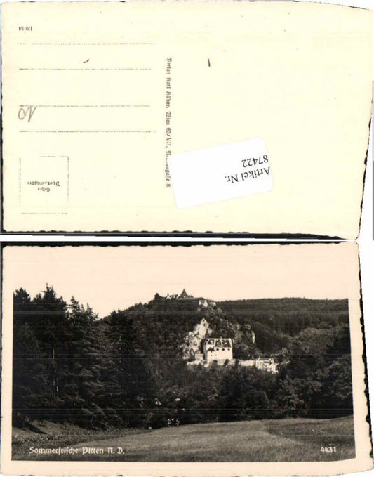 87422,Sommerfrische Pitten Partie auf d. Wiese