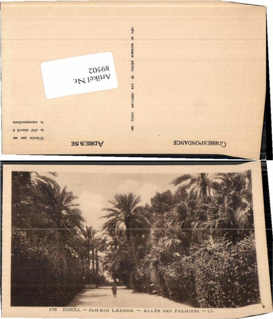 89502,Biskra Algerien Jardin Landon pub LL 178