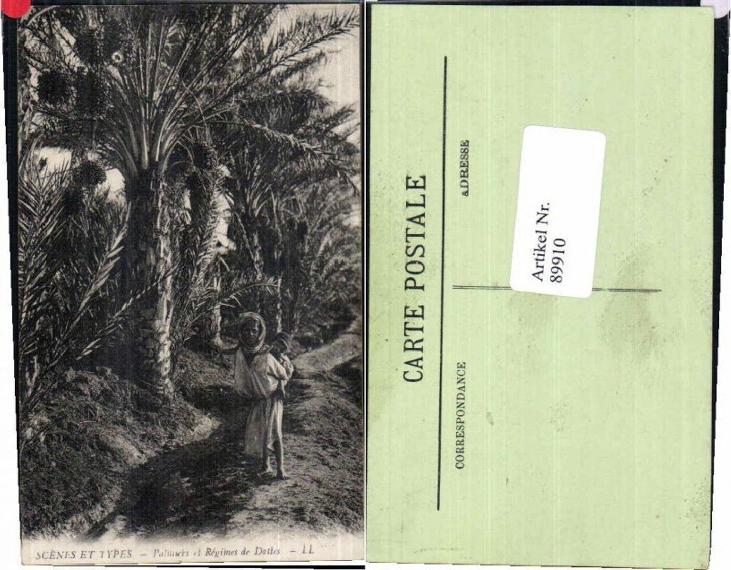 89910,Scenes et Types Algerien Palmiers Regimes Dattes