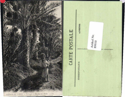 89910,Scenes et Types Algerien Palmiers Regimes Dattes