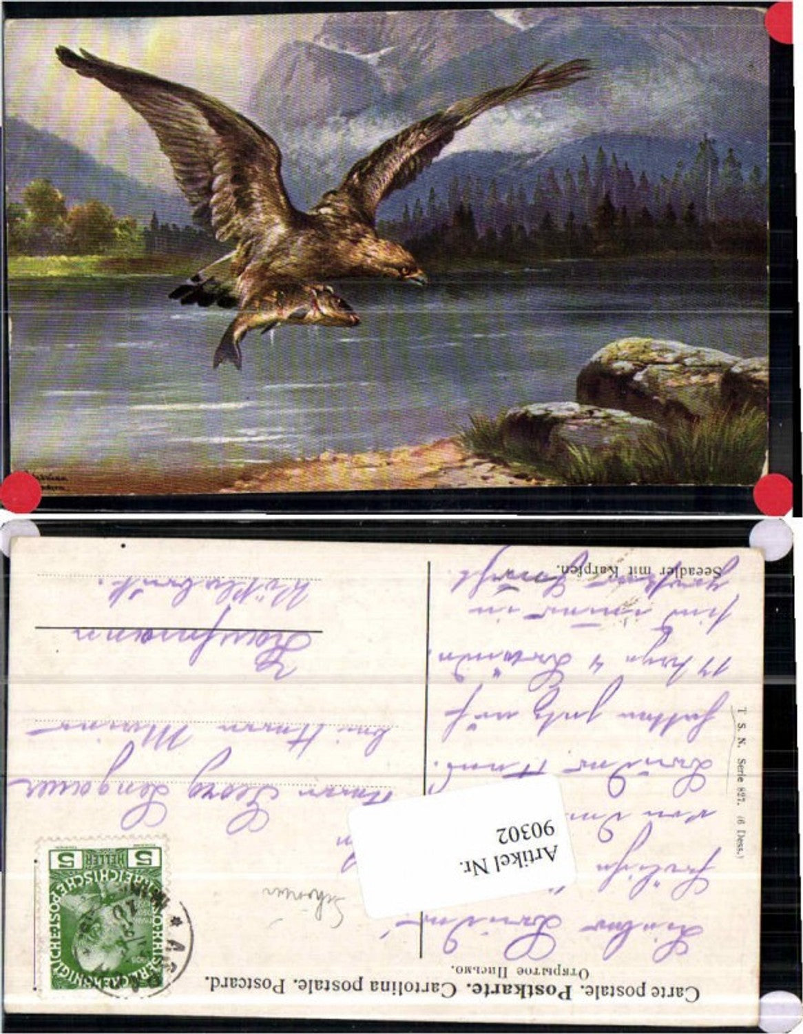 90302,A. Schönian Seeadler Karpfen Jagd Theo Stroefer 827
