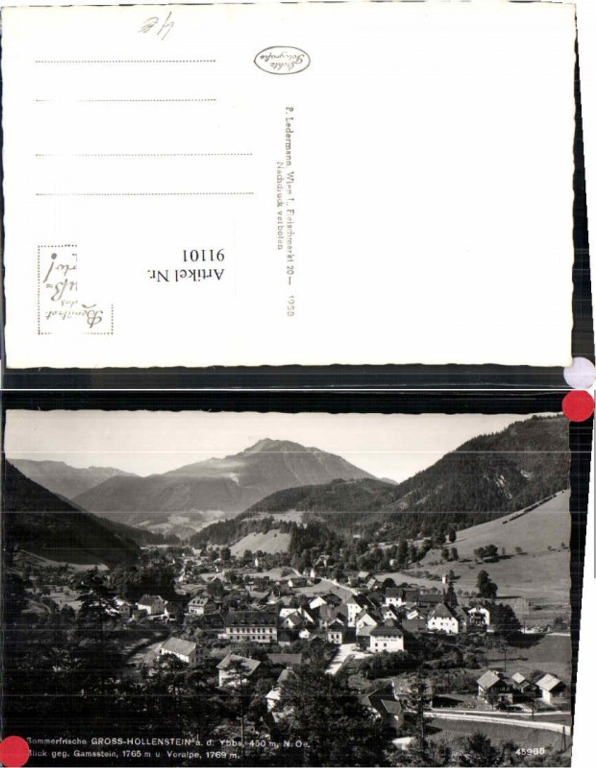 91101,Gross Hollenstein Totale m. Gamsstein