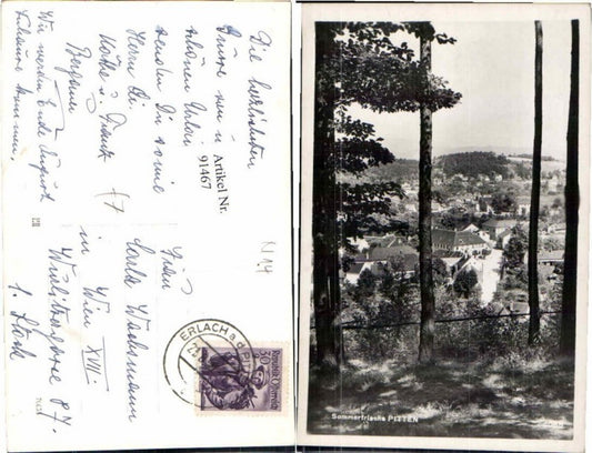 91467,Sommerfrische Pitten Partie im Wald