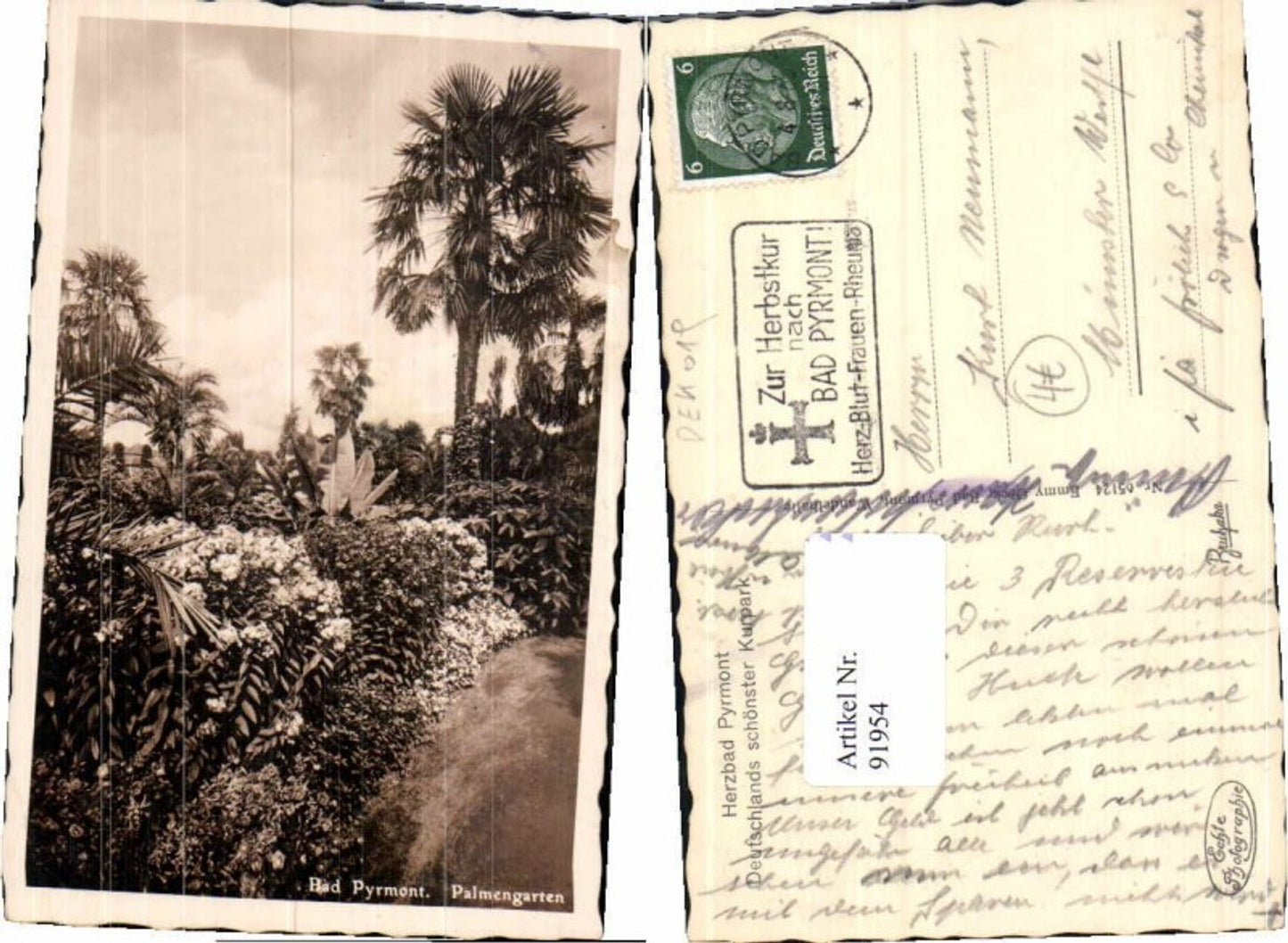 91954,Bad Pyrmont Palmengarten 1935