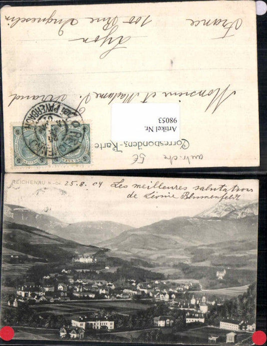 98053,Reichenau m. Schloss 1900