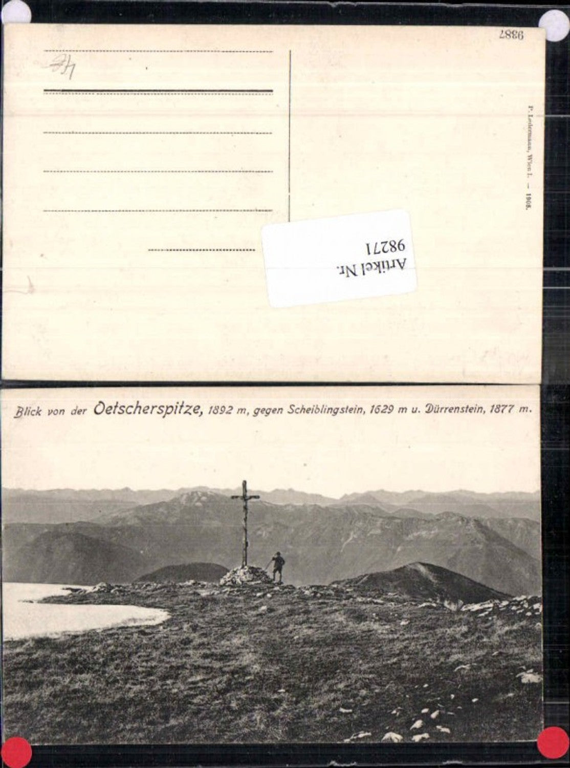 98271,Ötscherspitze bei Lackenhof 1908