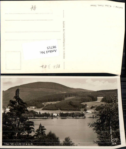 98715,Titisee Neustadt im Schwarzwald 1930