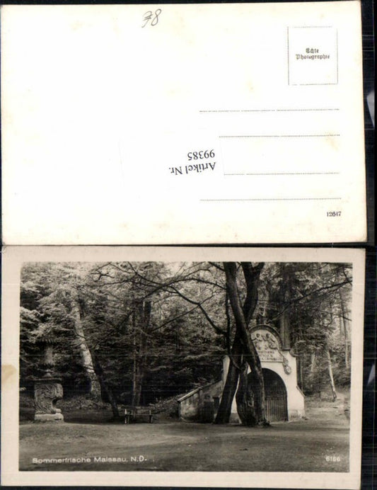 99385,Maissau Partie in Schlosspark