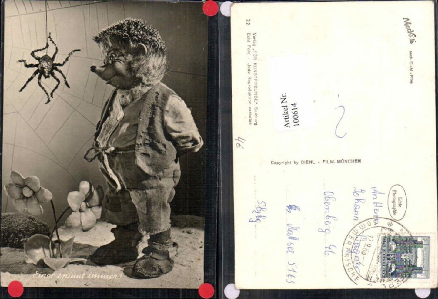 100614, Mecki No. 22 One is always buzzing Spider Hedgehog