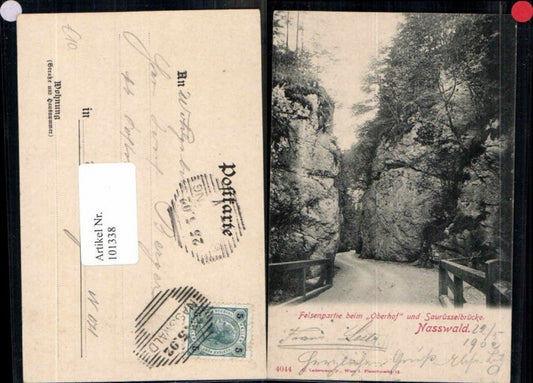 101338,Nasswald Felsenpartie b. Oberhof Höllental Saurüsselbrücke 1905