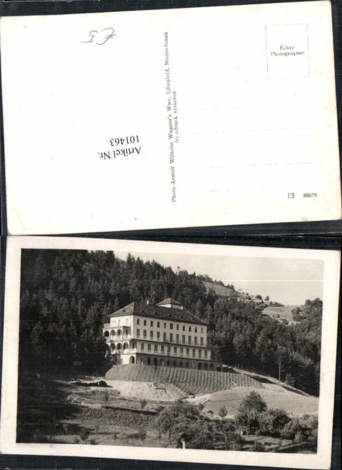 101463,Partie bei Lilienfeld Hainfeld