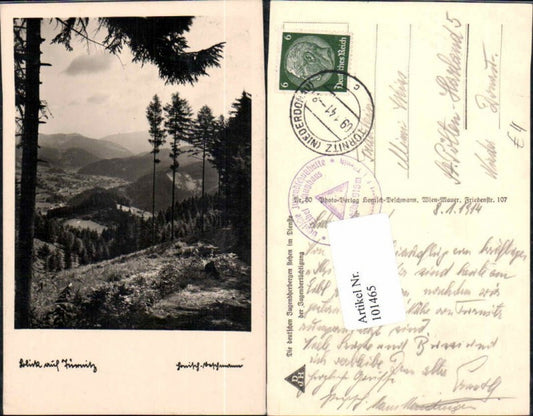 101465,Blick auf Türnitz Waldpartie 1941