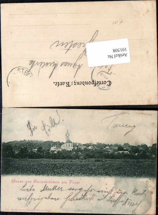 101508,Gruss aus Steinakirchen am Forst Wiesenpartie 1900