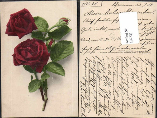 102221,Rote Rose Blume Schöne AK