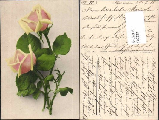 102222,Rosa Rose m. Blätter Blume