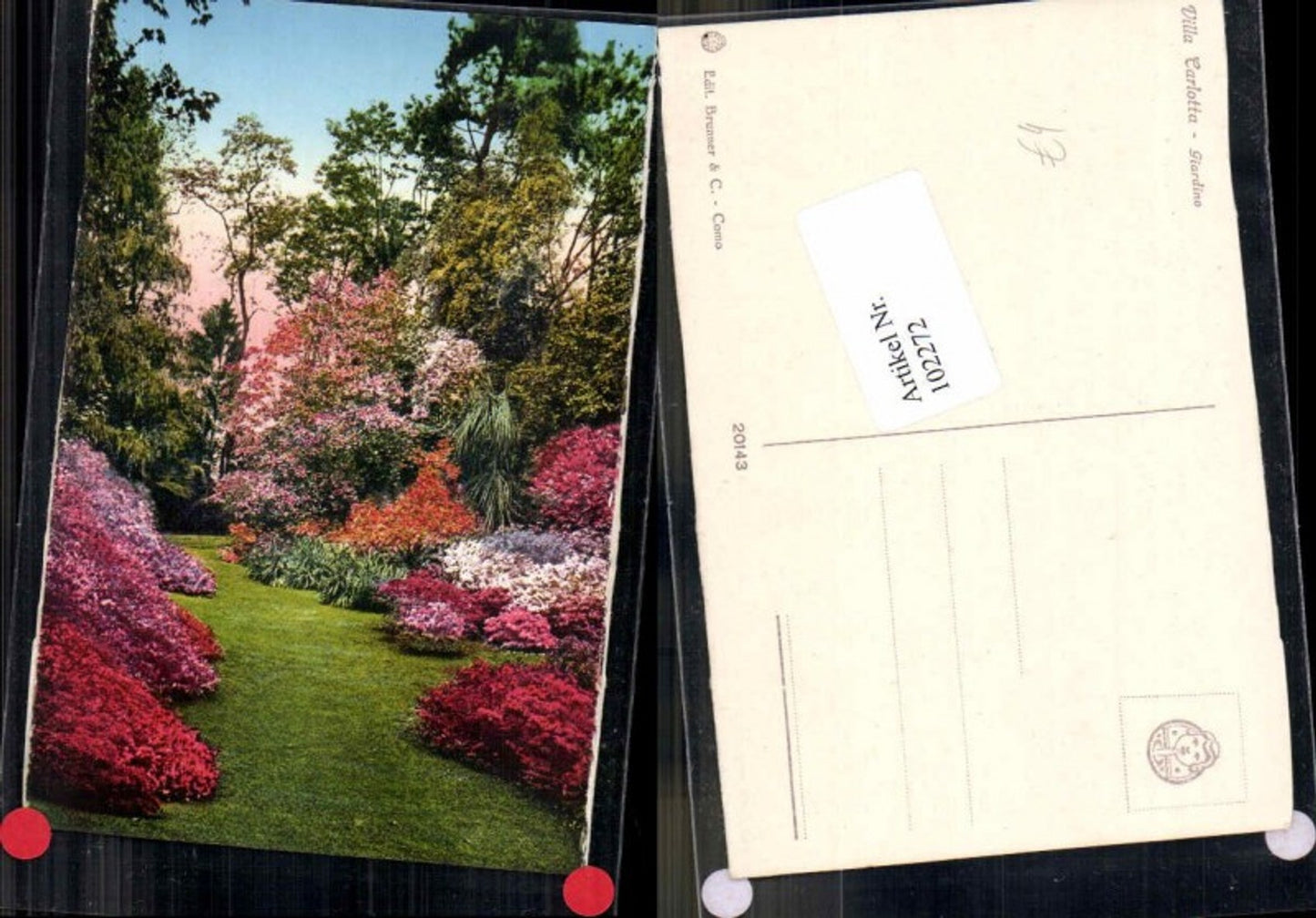 102272,Villa Carlotta Giardino Como 1915