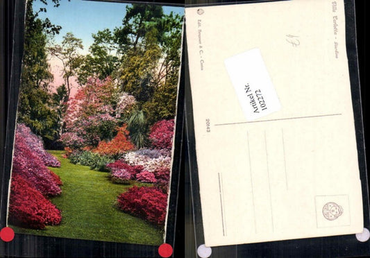 102272,Villa Carlotta Giardino Como 1915