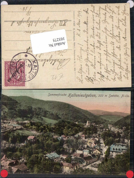 103275,Sommerfrische Kaltenleutgeben Totale