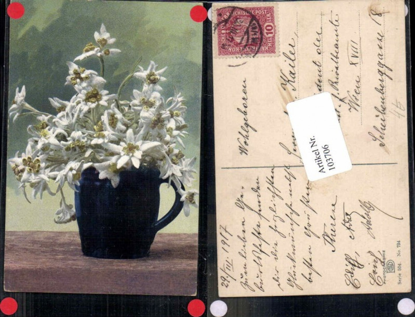 103706,Photochromie Ser 504-734 Edelweiss