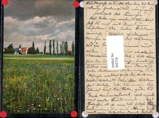 103718,Photochromie Ser 262-4120 Dorf m. Bäume
