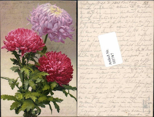 103747,Photochromie Ser 529-1026 Blumen