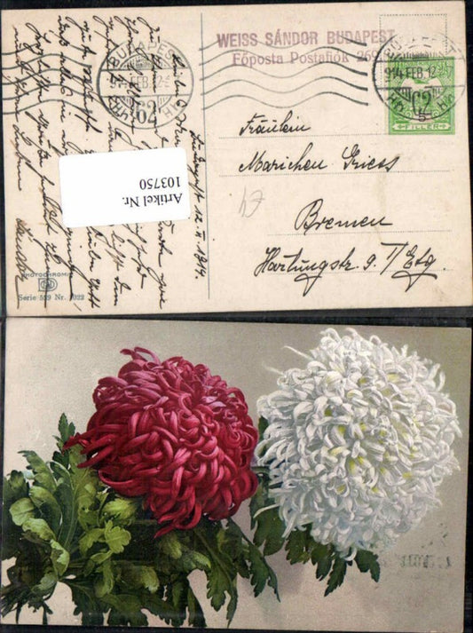 103750,Photochromie Ser 529-1022 Blume