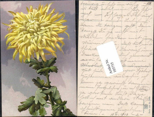 103755,Photochromie Ser 530-1032 Blume Anemone