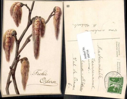 104716,Ostern Palmkätzchen Zweig