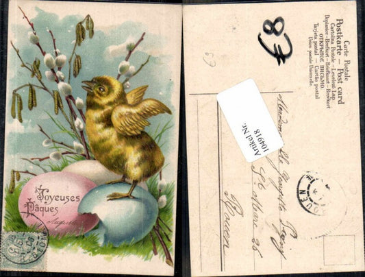 104918,Präge AK Ostern Küken auf Osterei Palmkätzchen
