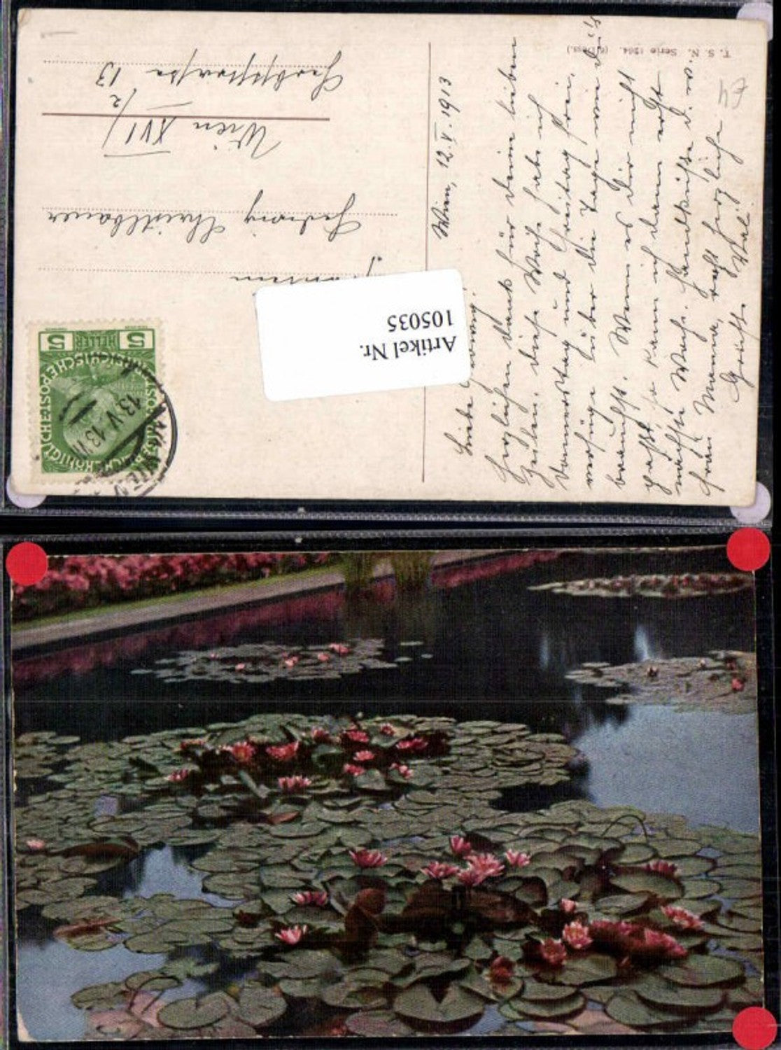 105035,Theo Stroefer 1364 Seerosen Blumen