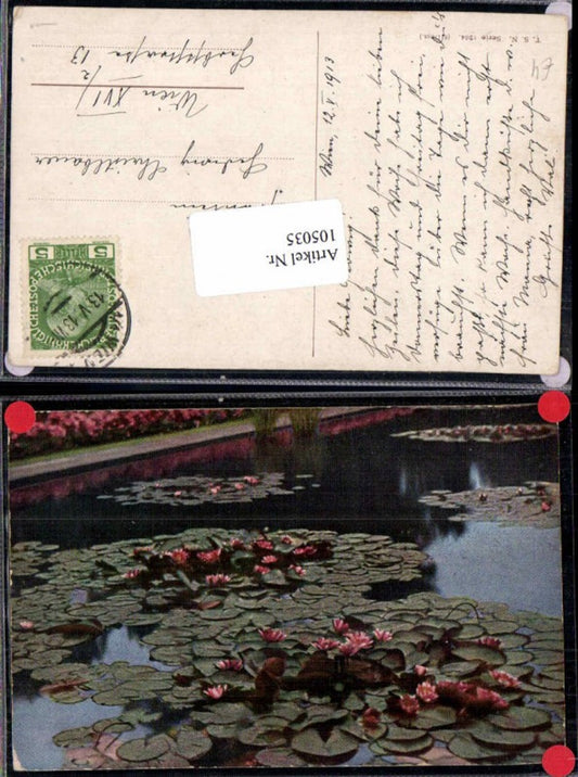 105035, Theo Stroefer 1364 Water Lilies Flowers