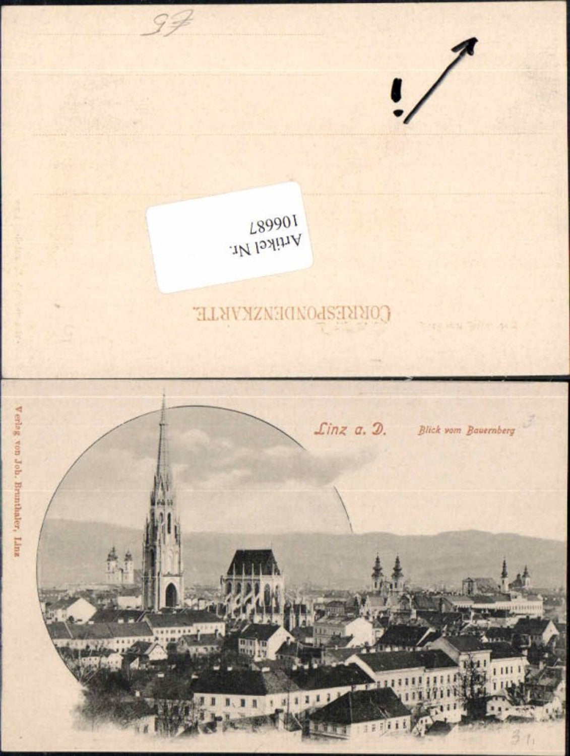 106687,Linz a.d. Donau Blick vom Bauernberg Häuser Kirche