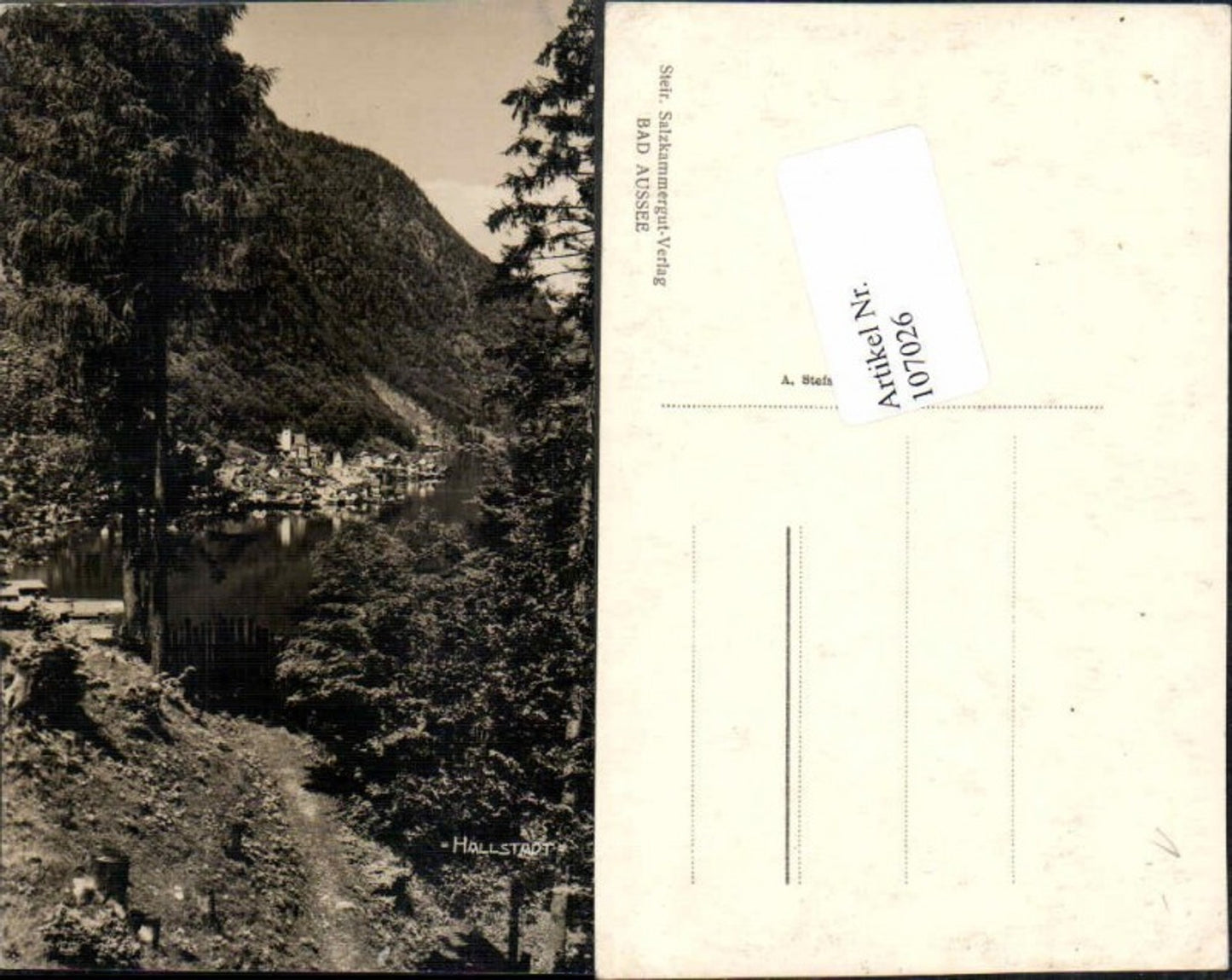 107026,Seltene FotoAK Hallstatt Wegpartie 1930